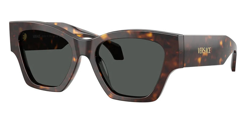 Versace 4492U 108/87