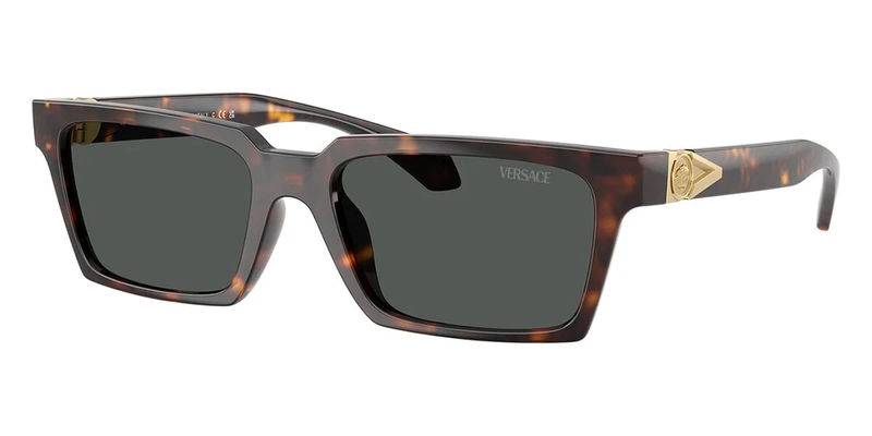 Versace 4490U 108/87