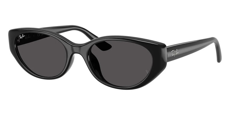Ray-Ban RB 4457D 6677/87